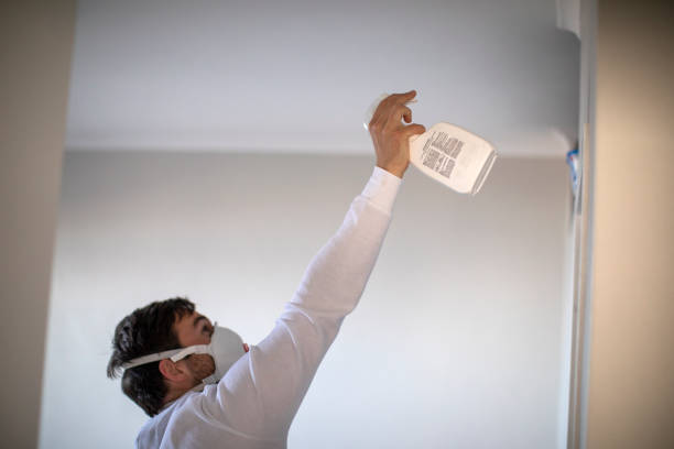 Best Mold Testing  in White Hall, IL